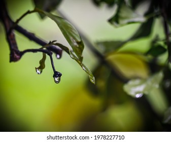 Droplets a different perspective of nature