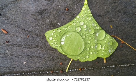 Droplets on water