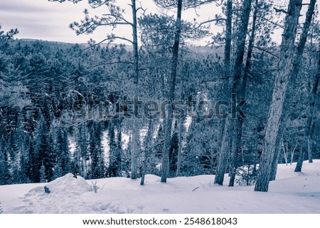 Similar – Image, Stock Photo jaw Environment Nature