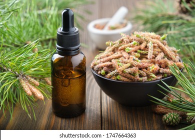 Dropper bottle of essential oil from pine buds, bowl of pine tree buds on wooden table. - Powered by Shutterstock