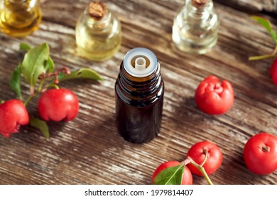 A Dropper Bottle Of Essential Oil With Wintergreen Leaves And Berries