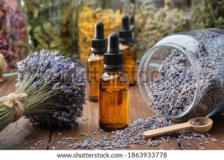 Dropper bottle of lavender essential oil, glass jar of dry lavender flowers, bunches of dry lavender. Jars of different dry medicinal herbs on background. Alternative medicine.