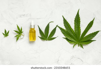 Dropper bottle near green cannabis sativa leaves on a marble table top view. Organic skincare beauty product. Eco friendly CBD oil - Shutterstock ID 2310348651