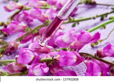 A Dropper With Flower Essence And Some Pink Broom Flowers On A Purple Background