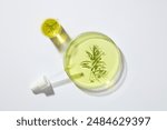 A dropper leaning on a large petri dish of yellow liquid and tea tree leaves, a small beaker featured. Production of natural skincare products in the laboratory