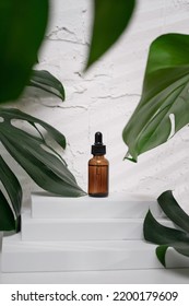 Dropper mockup with essential oil or serum on a stepped stand for product photography of cosmetics or accessories with large tropical monstera leaves. - Shutterstock ID 2200179609