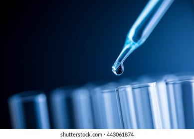 Dropping Chemical Liquid To Test Tube, Science Research Concept. 