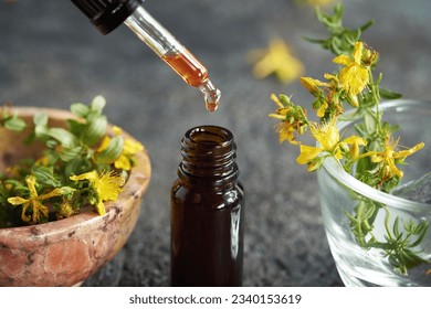 Dropping red St. John's wort oil into a brown glass bottle, with fresh Hypericum perforatum flowers in the background
