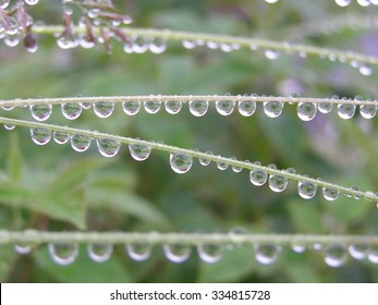 Drops