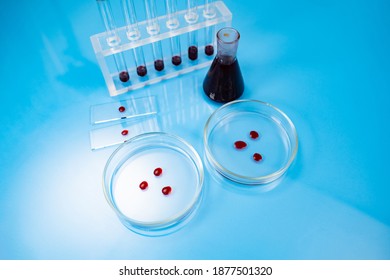 Drops Of Blood In Petri Dishes And Glass Test Tubes. Blood In Microbiology Test Laboratory