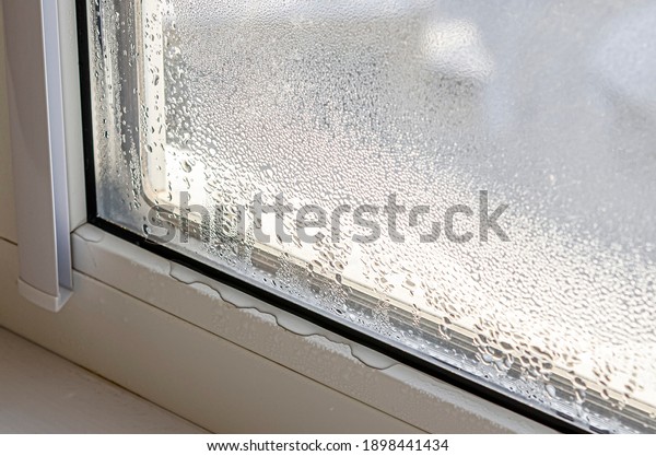 Drops of condensate and black mold on a\
substandard metal-plastic window. Plastic.\
Ecology