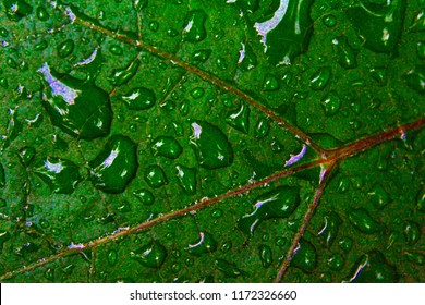 hd walpaper images stock
