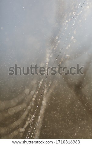 Similar – Image, Stock Photo winter morning Winter Snow