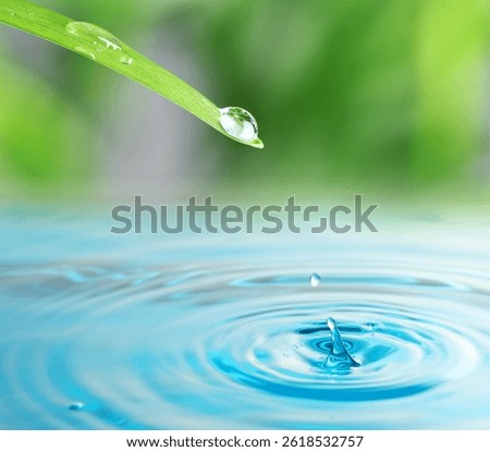 Drops falling from green leaf into water outdoors, closeup