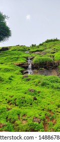 Drops of nector falling from the hill
