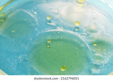 Drops Of Oil In Liquid In Petri Dish Close Up. The Concept Of Medicine, Beauty, Research. Selective Focus, Defocus