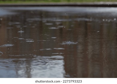 drops in a puddle ends with rain close-up