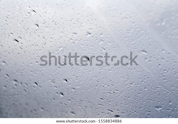drops\
of rain on glass window blurred forest\
background