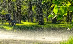 Gouttes De Pluie Chaude D'été, Tombant Sur L'asphalte