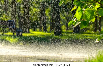 Drops of warm summer rain, falling on the asphalt - Shutterstock ID 1154188174