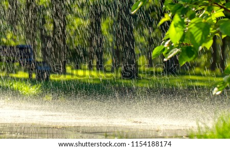Drops of warm summer rain, falling on the asphalt