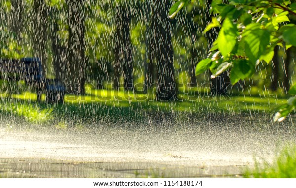 52,011 City Park Rain Images, Stock Photos & Vectors | Shutterstock