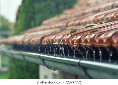 Drops Of Water Flow Into The Eaves On The House In The Rain.