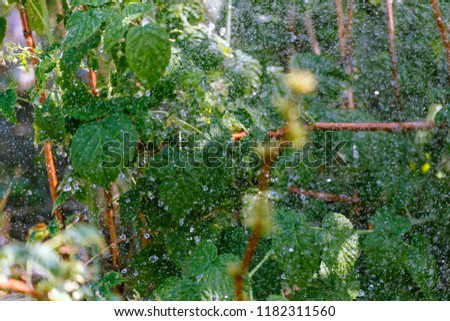 Similar – Foto Bild Blick durchs Fenster nach dem Regen