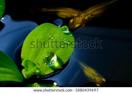 Similar – Image, Stock Photo Flowing Yellow Bathroom