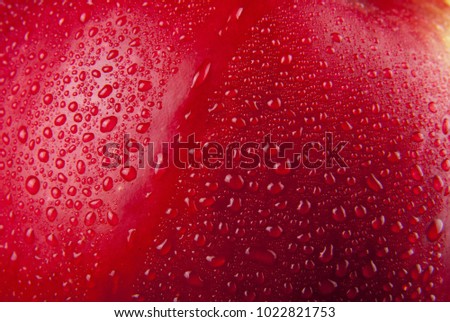 Similar – Image, Stock Photo ripe apple with dew drops on a tree
