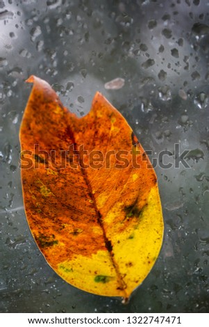 Similar – Foto Bild Erster oder letzter Schnee? *Für Helgi*