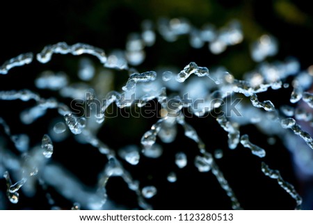 Image, Stock Photo fluid Water Drops of water