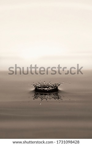 Similar – water on water with leaf padding