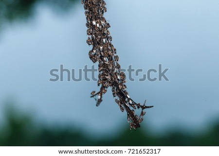 Similar – Image, Stock Photo in the brine park ….