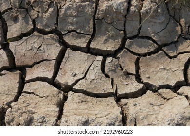 Drought, Big Cracks In Dry Ground. Background.