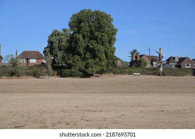 Drought Condition's In Reigate, Surrey During The Long Hot Summer Of 2022 During The Month Of August.