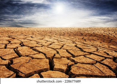 Drought Cracked Desert Landscape