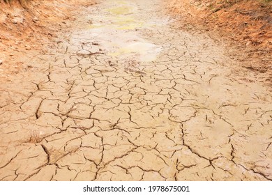 Drought Cracked Ground Earth On Top View. Crack Soil Surface Texture. Background On Hot Arid Climate Weather. Brown Broken Ground. Global Warming And Environmental Crisis.