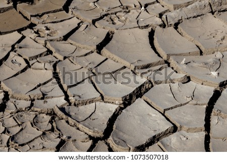Drought. Dried bottom of lake river sea. Dead crabs dry from drought. Dry fractured soil of drought. Concept of drought, climate change, death without moisture. Ecology. Catastrophe. Mysticism Cracked