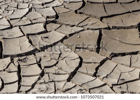 Drought. Dried bottom of lake river sea. Dead crabs dry from drought. Dry fractured soil of drought. Concept of drought, climate change, death without moisture. Ecology. Catastrophe. Mysticism Cracked