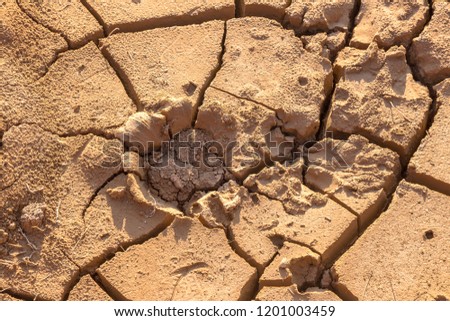 Drought. Dry bottom of the lake. Dead dry land from drought. Dry fissured drought soil. The concept of drought, climate change, death without moisture. Ecology. Catastrophe. Mysticism cracked