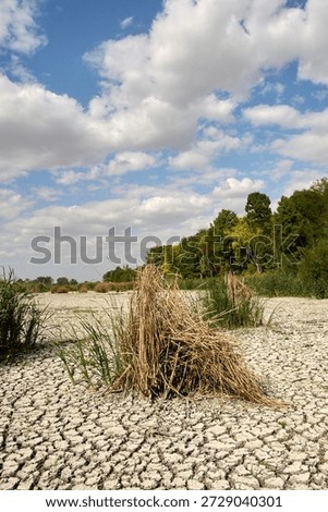Drought and drying up of lakes a global problem, Lake Comana