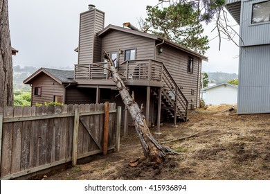 Drought And Gravity Causes A Dead Pot Pine Tree To Fall On This Seaside House And Causes Severe Major Damage To The Structure, On The Big Sur Coastline, California Central Coast, Near Cambria, CA.