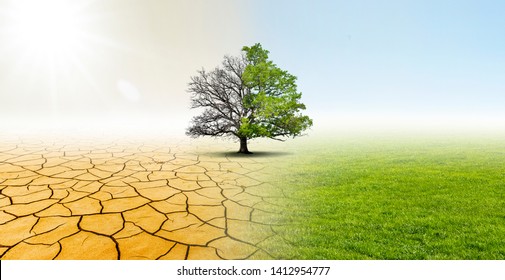 Drought and Green Nature  Landscape