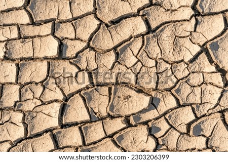 Drought, the ground cracks, no hot water, lack of moisture. Dried and Cracked ground.Cracked surface.Dry soil in arid areas.