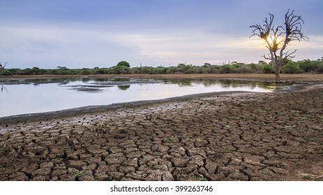 Drought  in Kruger national park, South Africa ; Lower Sabie pond