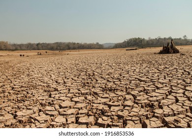 The Drought Land Texture In Thailand. The Global Shortage Of Water On The Planet. Global Warming And Greenhouse Effect Concept.