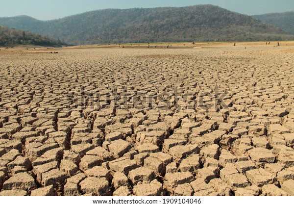 The drought land texture in Thailand. The global\
shortage of water on the planet. Global warming and greenhouse\
effect concept.