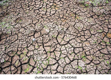 Drought At Maharashtra, India - 2015