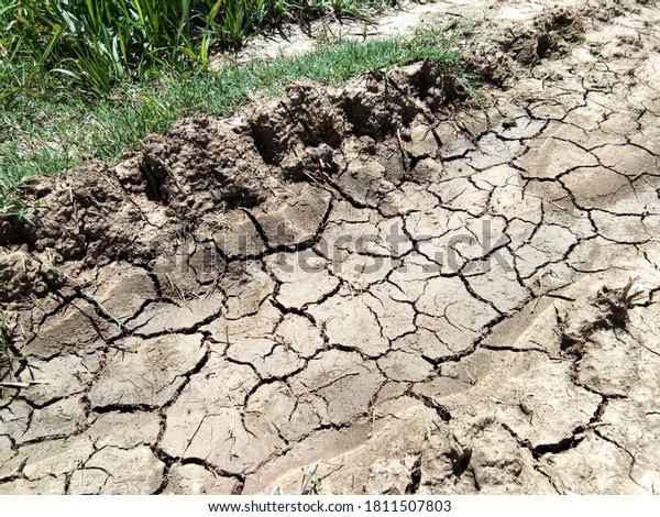 Drought on the cracked road During\
the daytime that is hot and hot in Thailand, ground is dry and\
cracked in the dry season, road cracked soil, Country\
road.
